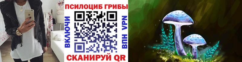 кракен ONION  Ядрин  Псилоцибиновые грибы ЛСД 